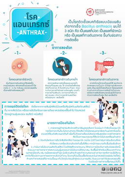 โรคแอนแทรกซ์ ANTHRAX